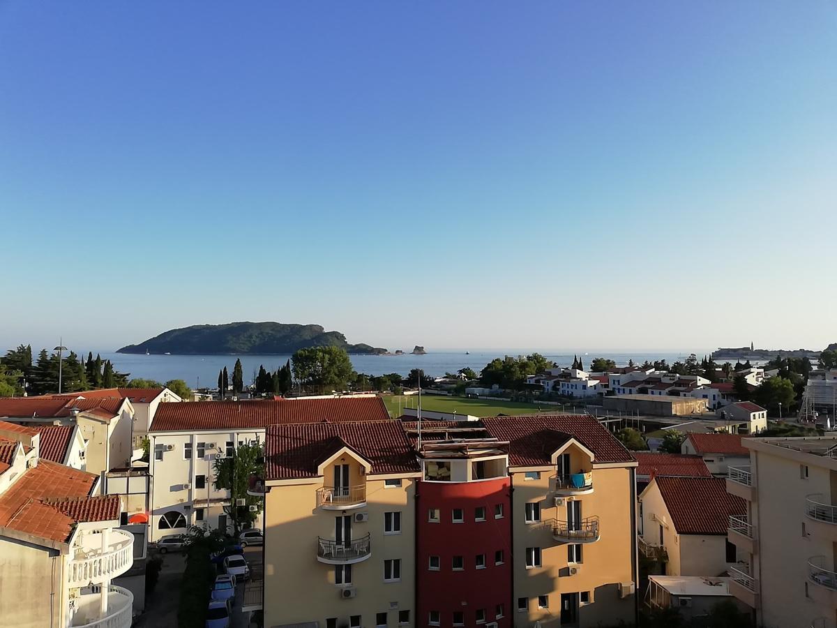 Markovic Daire
