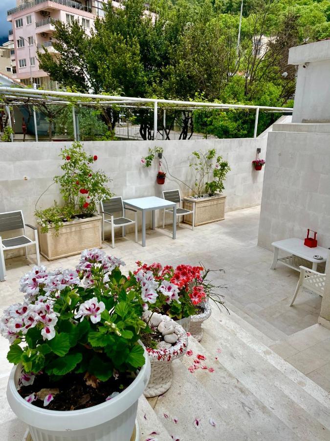 Markovic Apartment