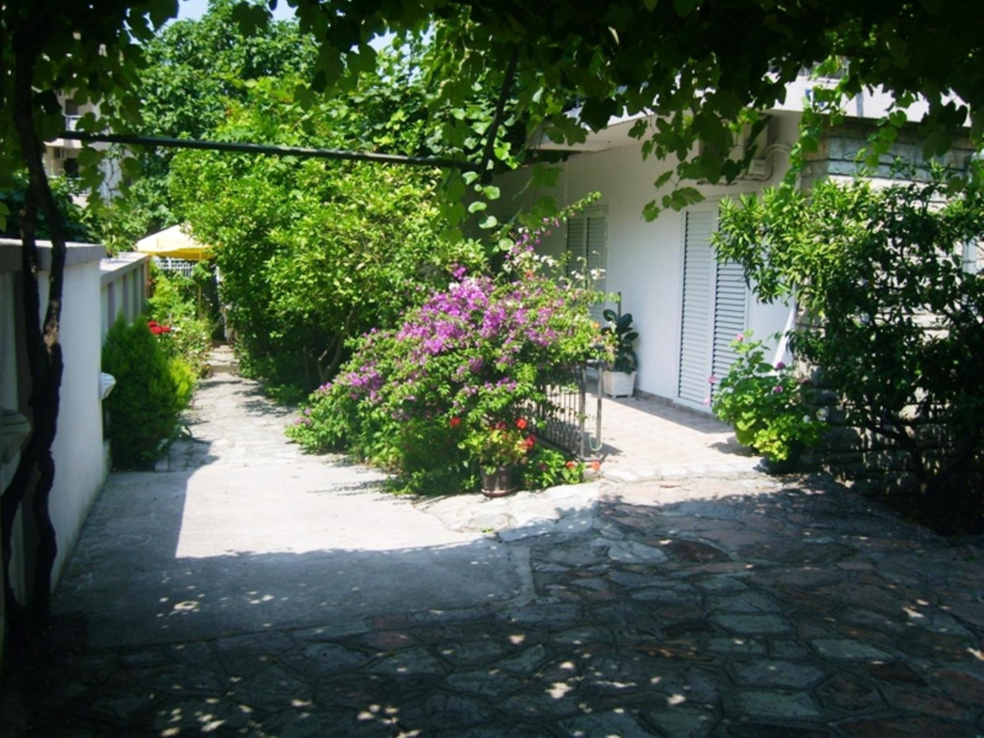 Apartment Markovic Budva
